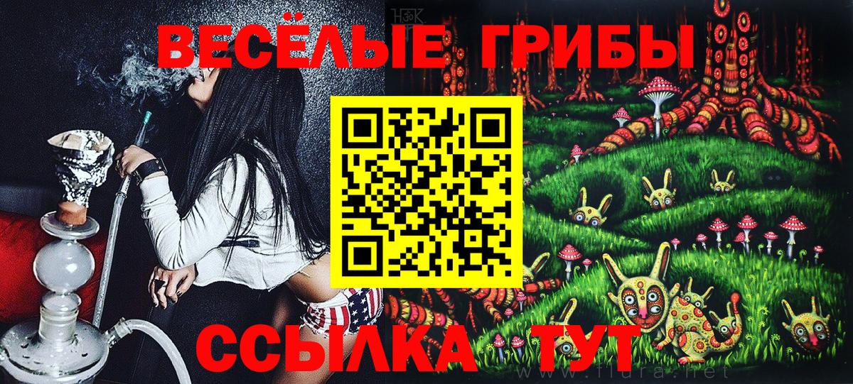 Галлюциногенные грибы Psilocybe Белгород